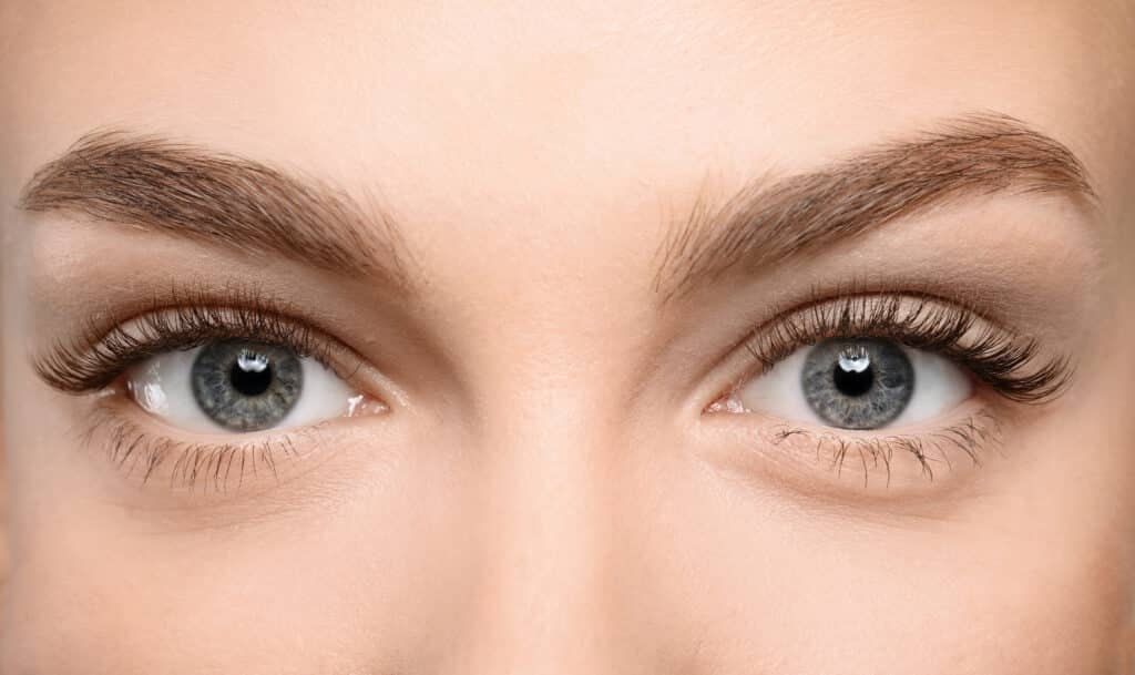 Female Eye With Long Eyelashe