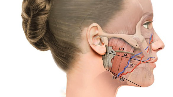 TMJ Treatment Options: Evidence-Based Approaches and the Role of Botox
